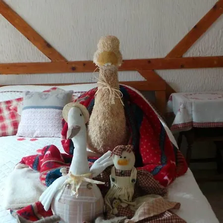 Hotel De La Canardiere *