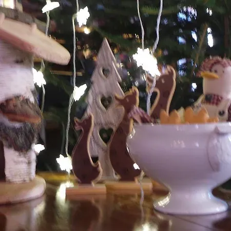 Hotel De La Canardiere *