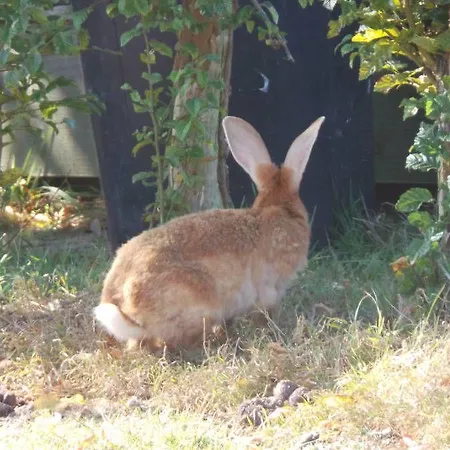 De La Canardiere Hotel *