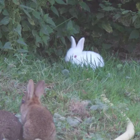 Hotel De La Canardiere *